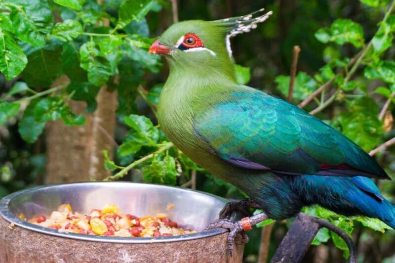 Santiago: Tricao Park, Isla Negra, and Pablo Neruda's House - Key Points