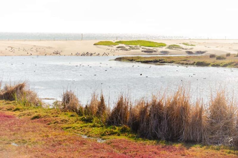 Santiago: Tricao Park, Isla Negra, and Pablo Neruda's House - FAQ