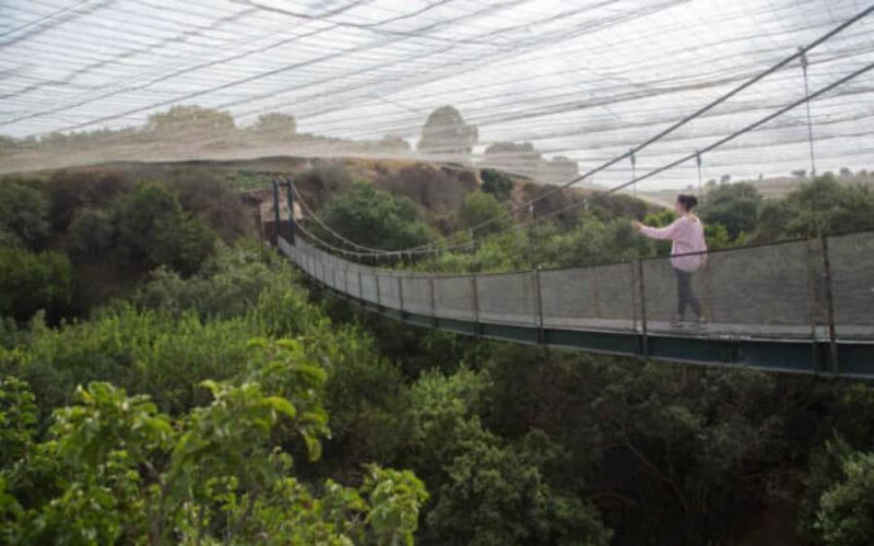 Santiago: Tricao Park & Pomaire Cultural Day Tour - An In-depth Look at the Tour Experience