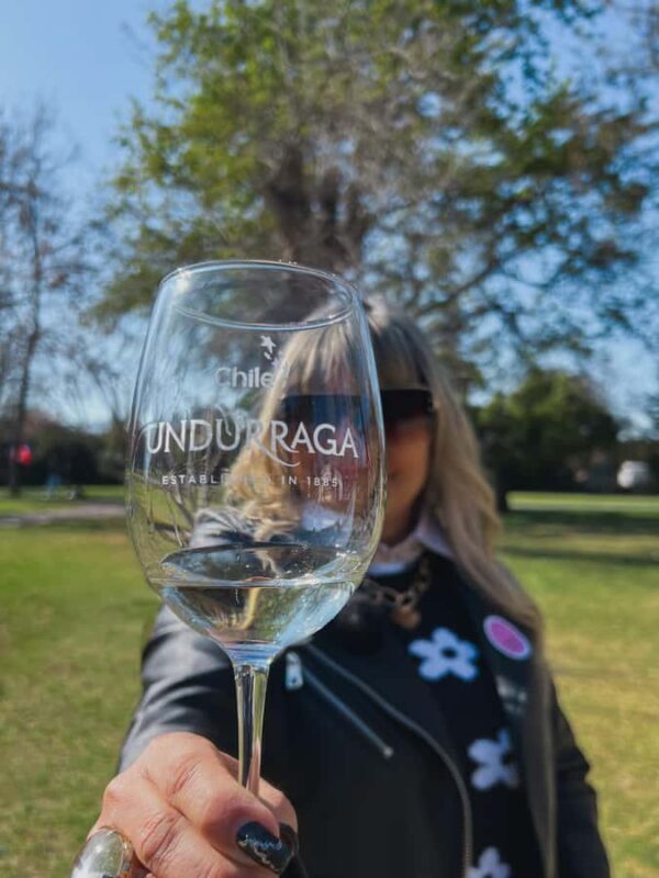 Santiago: Undurraga Winery Tour with Entry and Wine Tasting - Exploring the Undurraga Winery: Santiago’s Historic Gem