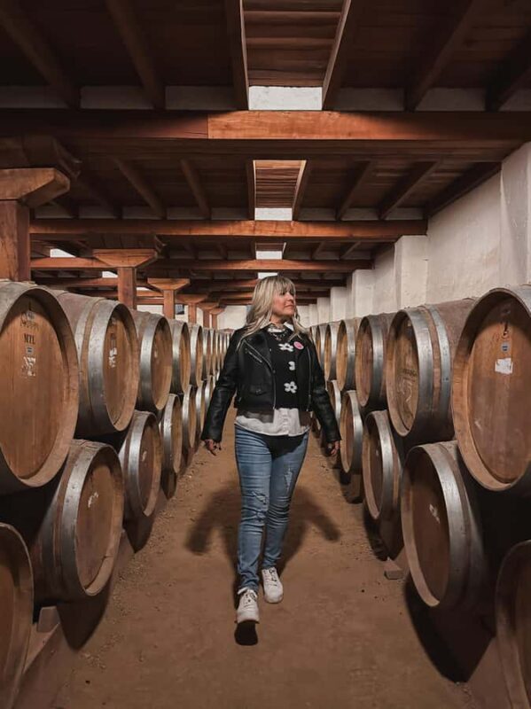 Santiago: Undurraga Winery Tour with Entry and Wine Tasting - Final Thoughts: Is It Worth It?