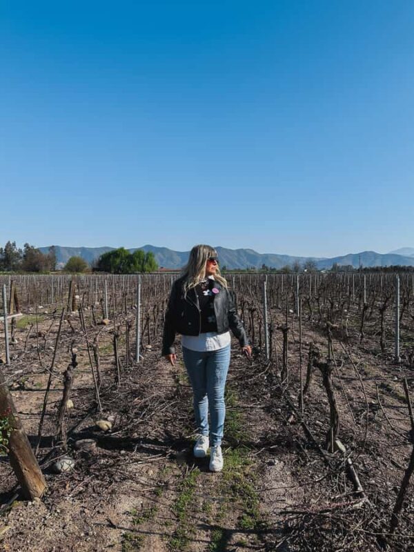 Santiago: Undurraga Winery Tour with Entry and Wine Tasting - FAQ