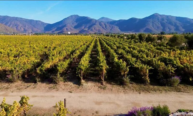 Santiago: Valparaiso, Viña del Mar, & Casablanca Valley Tour - Frequently Asked Questions