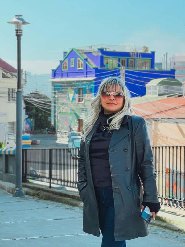 Santiago: Viña Del Mar, Valparaiso, Casablanca & Reñaca Tour - Final Thoughts