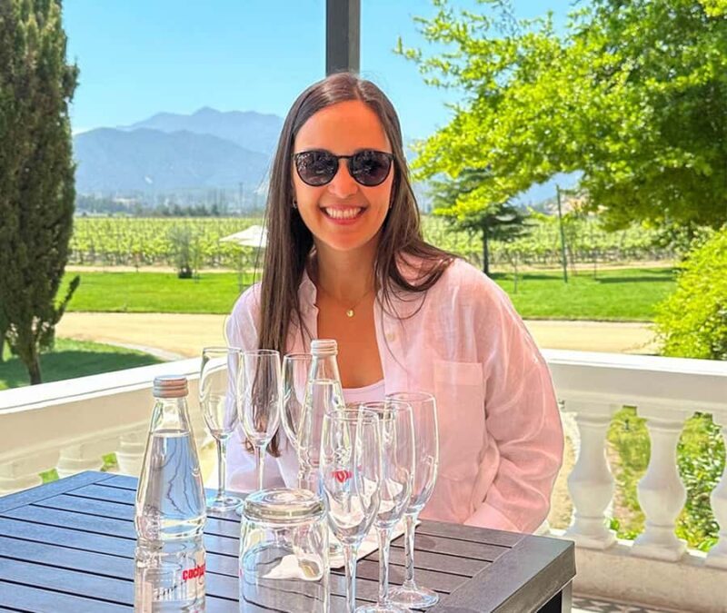 Santiago: World-class Wines, Visit to 4 Vineyards and Tanino - Key Points