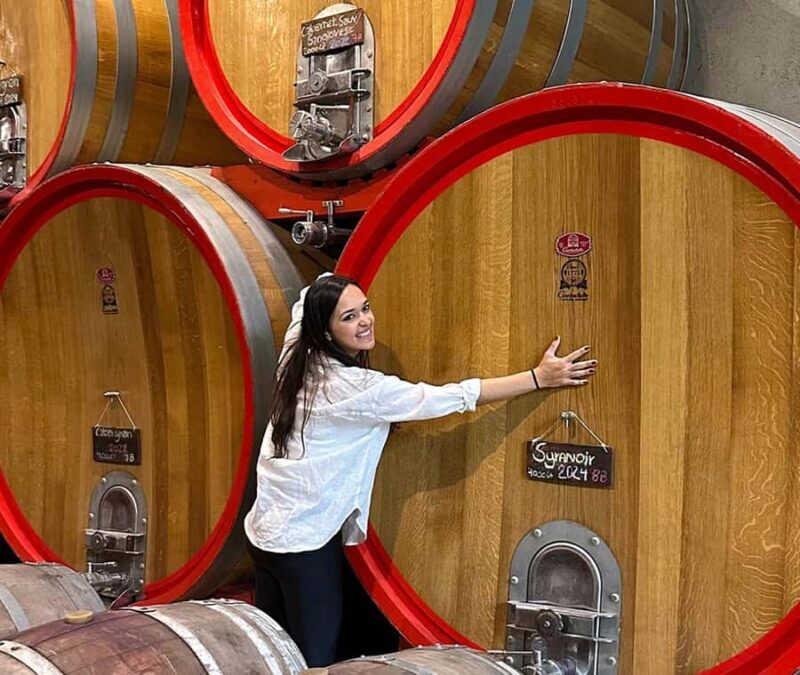 Santiago: World-class Wines, Visit to 4 Vineyards and Tanino - Exploring the Casablanca Valley through Four Vineyards