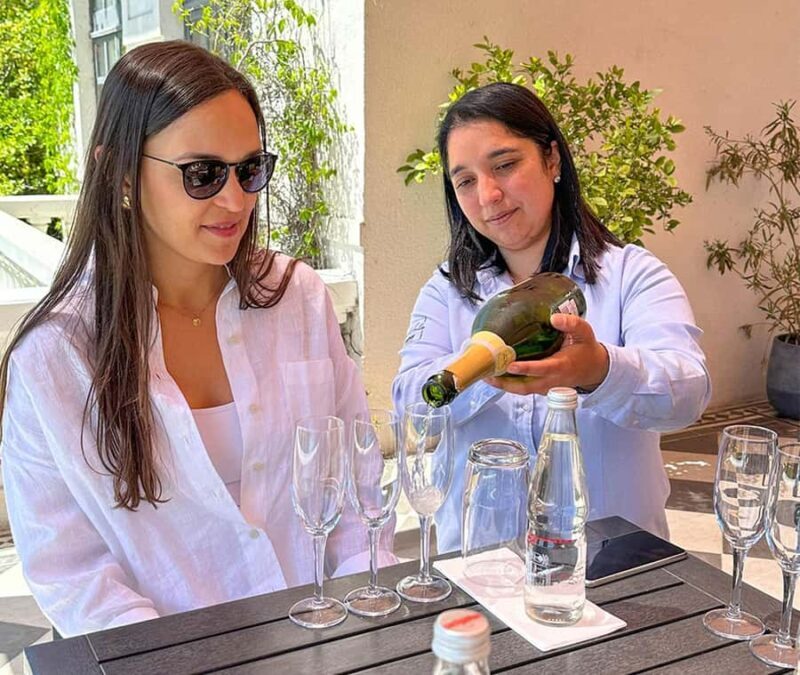 Santiago: World-class Wines, Visit to 4 Vineyards and Tanino - Why You Should Consider This Tour