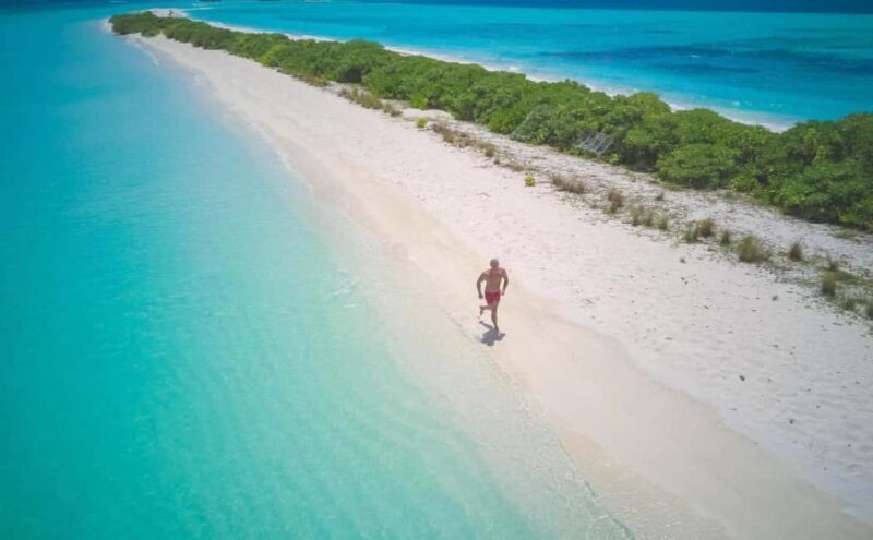 Santo Domingo: Bahía de las Águilas Private Day Trip - Practical Details and Logistics