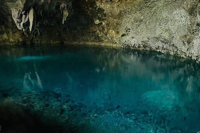 Santo Domingo city tour: visiting the historical museum and park - Who Is This Tour Best For?