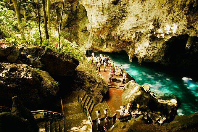 Santo Domingo Full Day Tour From Punta Cana with Lunch & Cenote - The Transport and Group Size: What to Keep in Mind