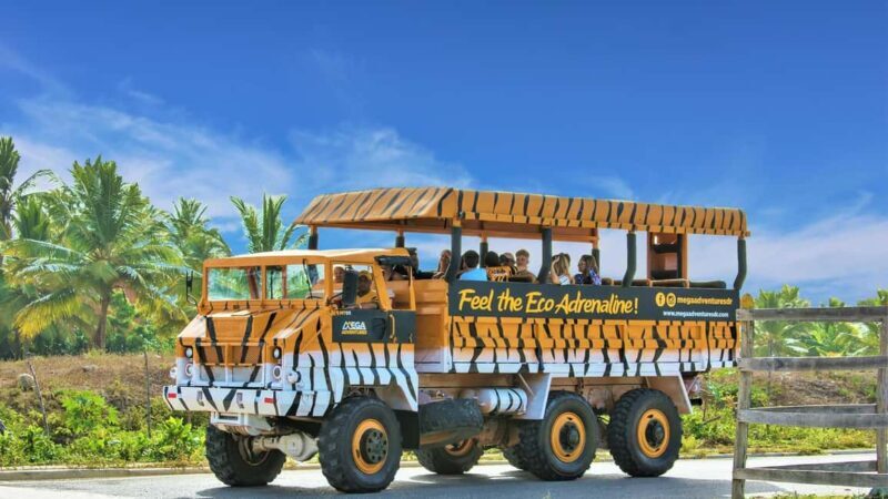 Santo Domingo: Higüey City Tour with Basilica & Market Visit - A Deep Dive into the Higüey Tour Experience