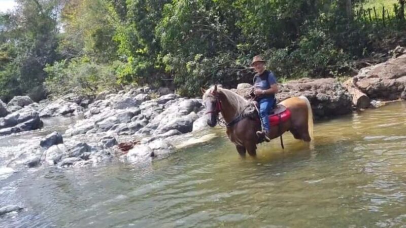 Santo Domingo: Horseback Riding - Round Trip Transportation - Who Should Consider This Tour?
