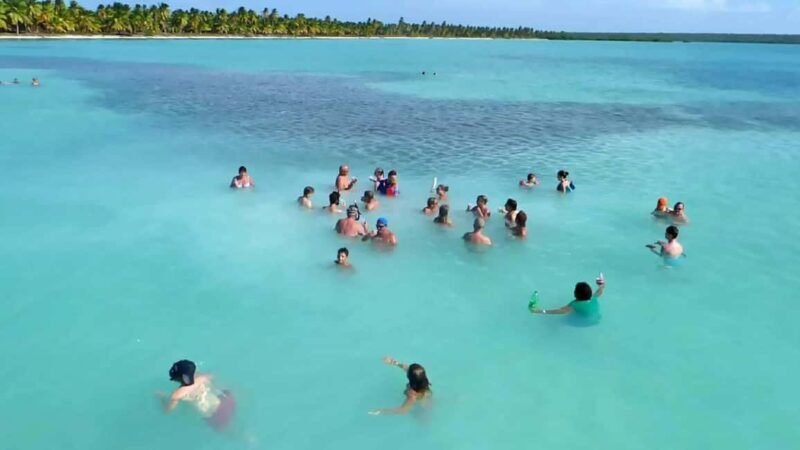Santo Domingo: Isla Saona Day Trip with Lunch & Catamaran - A detailed look at the tour experience
