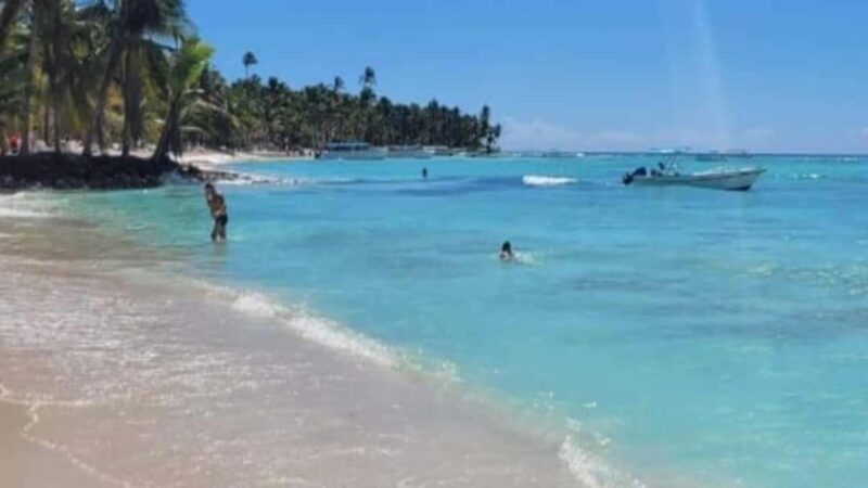 Santo Domingo: Isla Saona Day Trip with Lunch & Drinks - Who Should Consider This Tour?