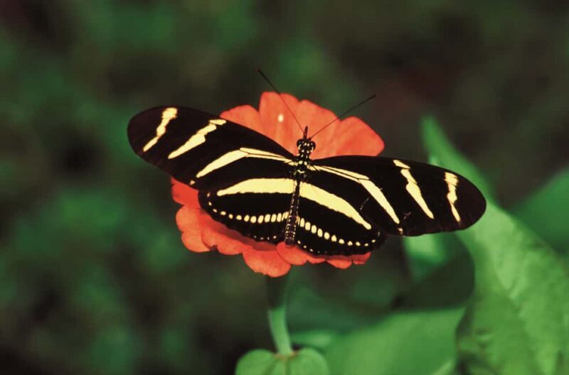 Santo Domingo: Natural Treasures of the City - A Deep Dive into the Natural Treasures Tour