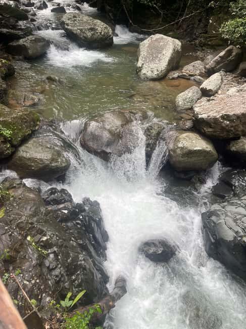 Santo Domingo: Paradisiac Waterfall & Lunch Cooked Over Wood - Frequently Asked Questions