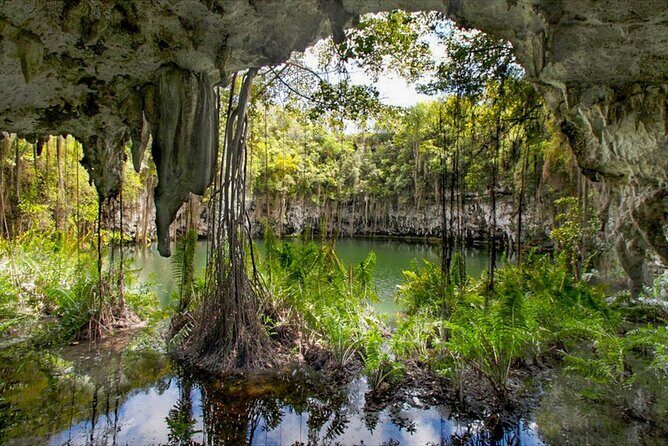 Santo Domingo Tour From Punta Cana - Zona Colonial, Los Tres Ojos - FAQ: Your Practical Questions Answered