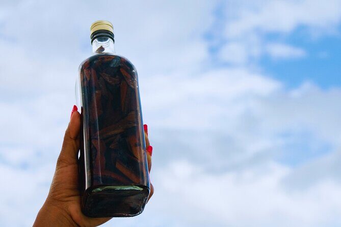 Santo Domingo VIP Private Tour from Punta Cana All Inclusive - Who Should Consider This Tour?