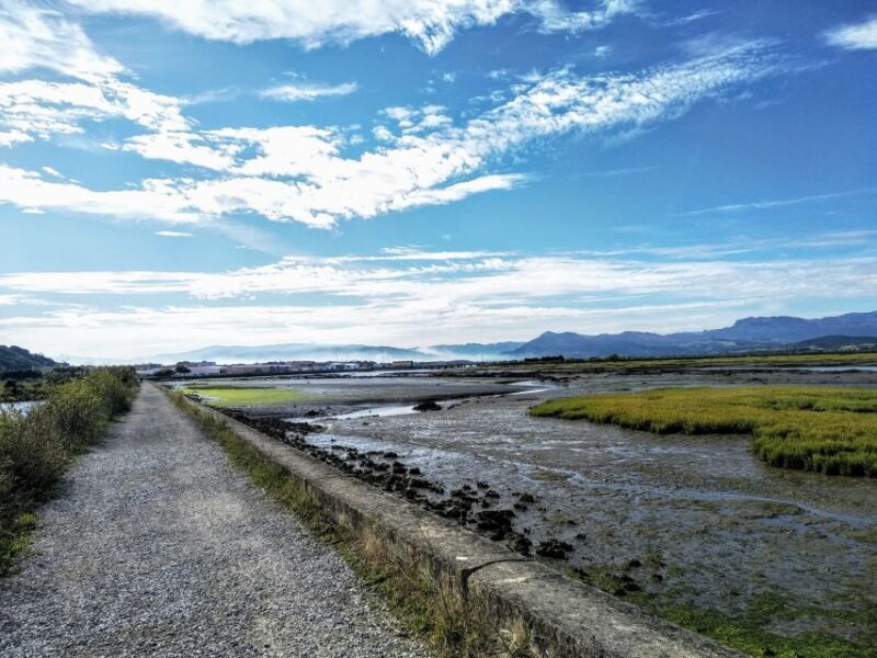 Santona: Canning Factory and the Marshes Tour with Tasting - FAQ