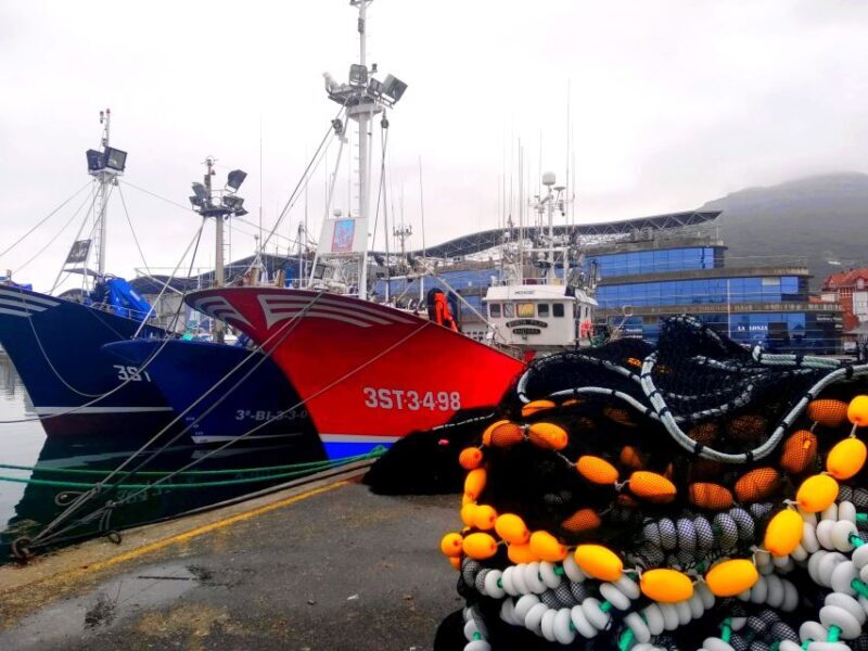 Santona: Urban and Marine Visit - In-Depth Review