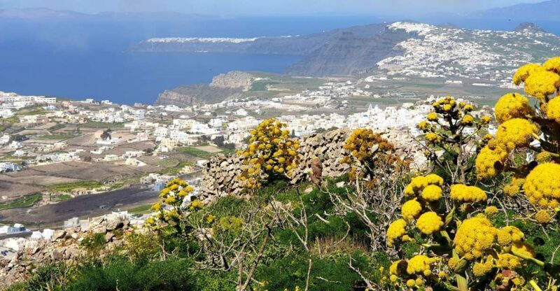 Santorini: 4hr Private Accessible Panoramic Views Tour - A Perfect Snapshot of Santorini’s Highlights in Just 4 Hours