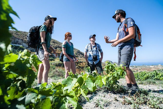 Santorini : Cooking Class & Easy Hike - Who Will Love This Tour?
