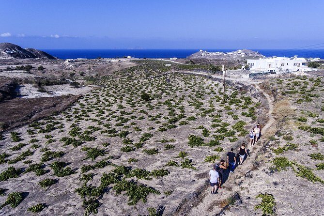 Santorini : Cooking Class & Easy Hike - FAQ
