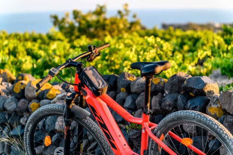 Santorini e-bike guided tours - The Sum Up