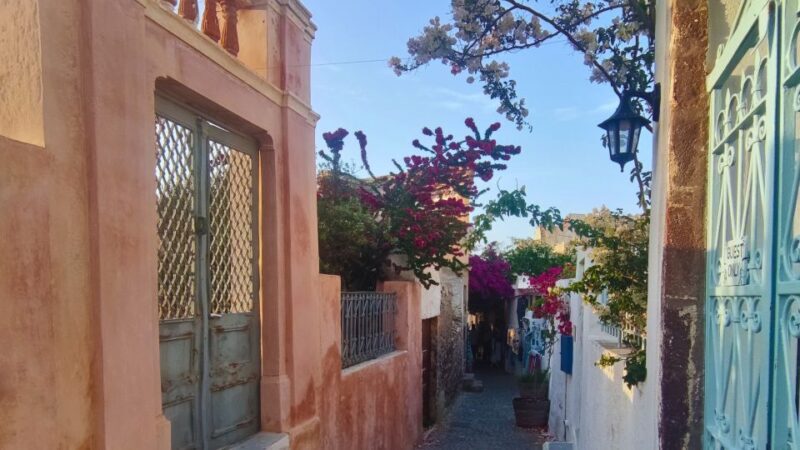 Santorini Essentials: Half-day Private Sightseeing Tour - Final Thoughts