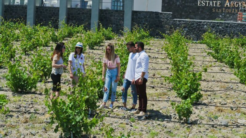 Santorini: Explore Southern Part with Wine Tasting - Exploring Santorini’s Southern Charm: A Hidden Gem Tour with Wine Tasting
