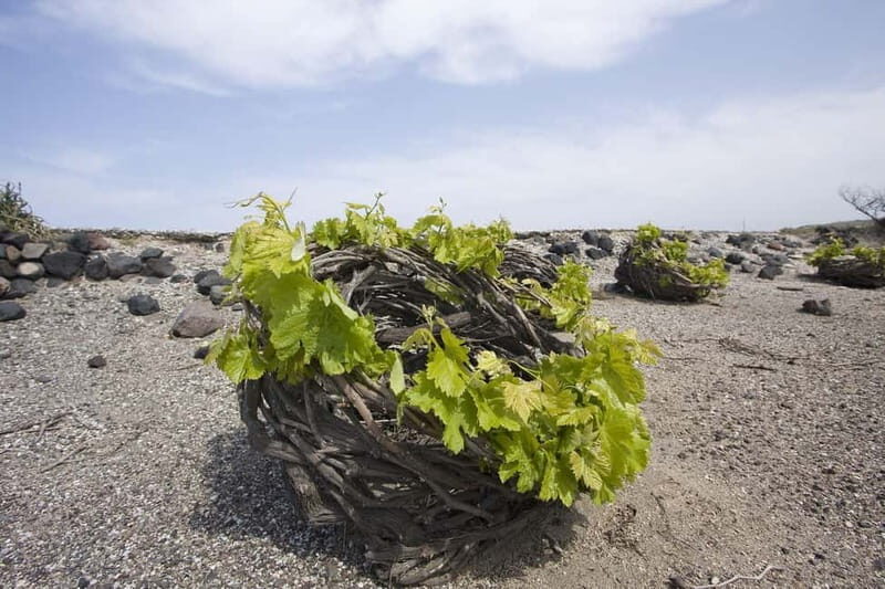 Santorini: Explore the Islands Beauty & Sunset Wine Tasting - Exploring Santorini in a Compact 6 Hours