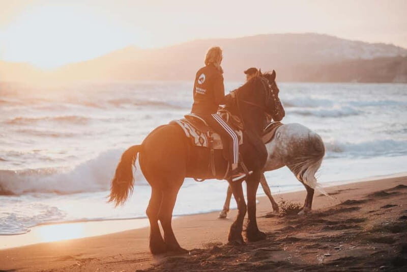 Santorini: Extreme Horse Safari - An In-Depth Look at Santorini’s Extreme Horse Safari