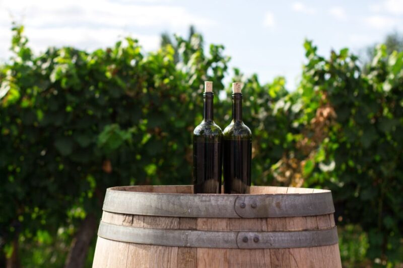 Santorini: Greek Cooking Class with Wine Tasting - Discover the Flavors of Santorini: Greek Cooking Class with Wine Tasting