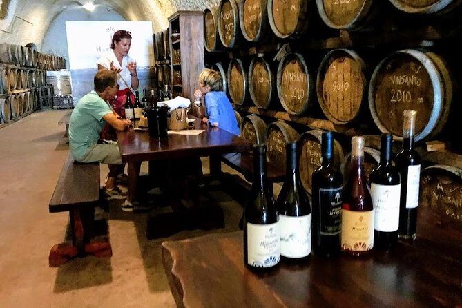 Santorini Half Day Wine Tasting & Winery Tour with Pickup - Artemis Karamolegos Winery: A Dynamic Family Estate
