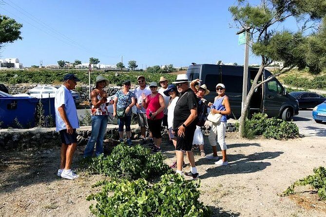 Santorini Half Day Wine Tasting & Winery Tour with Pickup - Final Stop: Anhydrous Winery in Fira