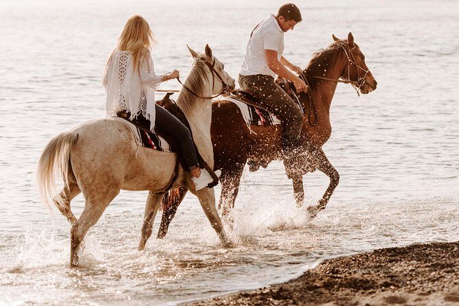 Santorini: Horse riding to the Black Sandy Beach (Eros beach) - What to Expect from the Itinerary