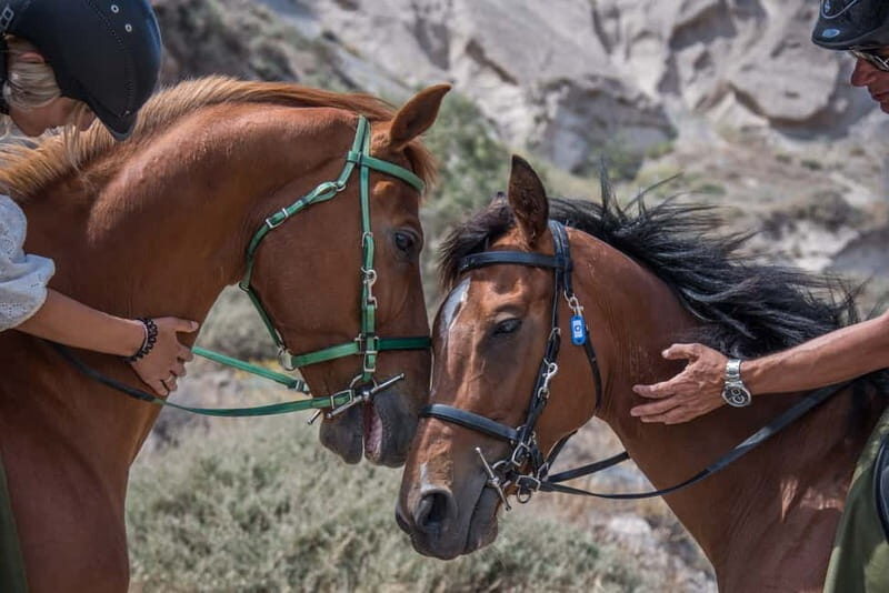 Santorini: Horse Riding Trip to Black Sandy Beach - Final Thoughts: Is It Worth It?
