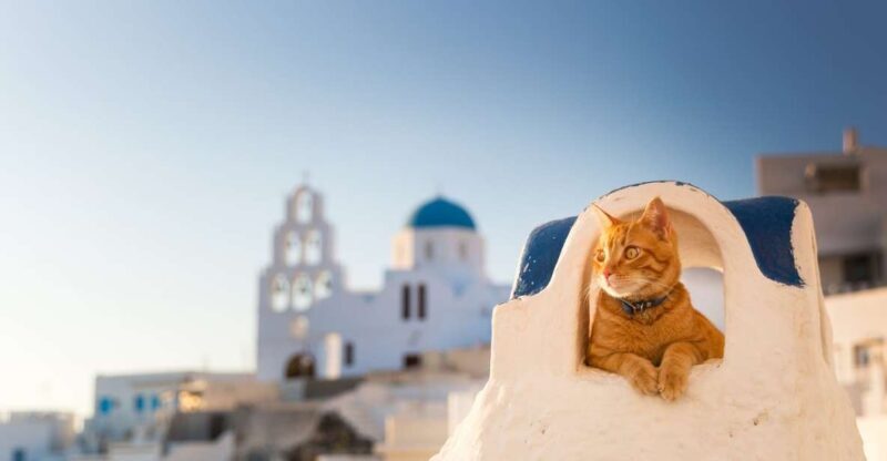 Santorini: Instagram Highlights Tour - Key Points
