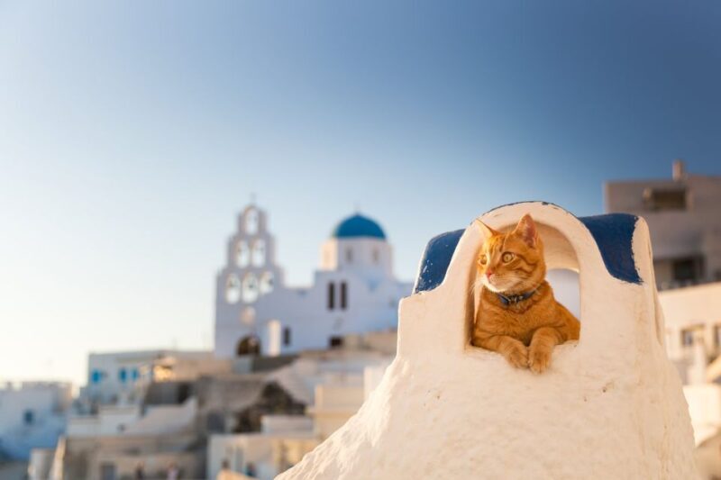 Santorini: Instagram Highlights Tour - The Photography Focus: Learning While Exploring
