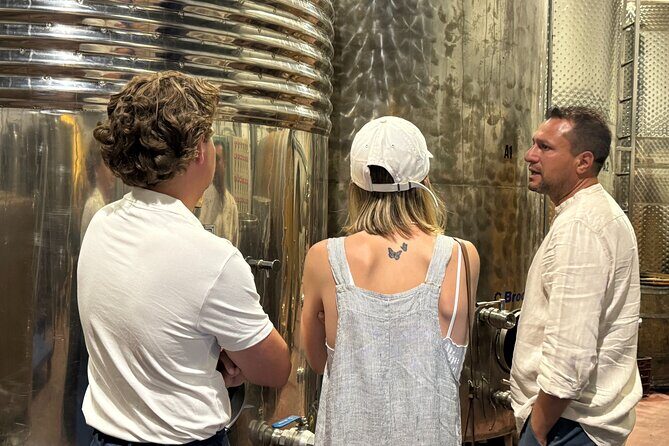 Santorini Mini Wine Tasting Tour at 2 Wineries - Who Should Consider This Tour?