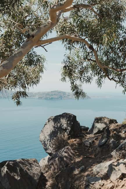 Santorini: Private 3-Hour Highlights Tour for Cruise Guests - Final Thoughts