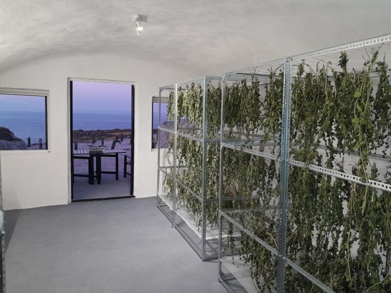 Santorini: Private Agri-Educational Visit to an Organic Farm - The Value and Why It Matters