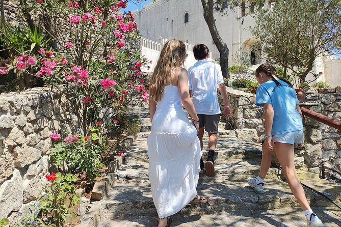 Santorini: Private Sightseeing Tour with Local Guide - The Sum Up