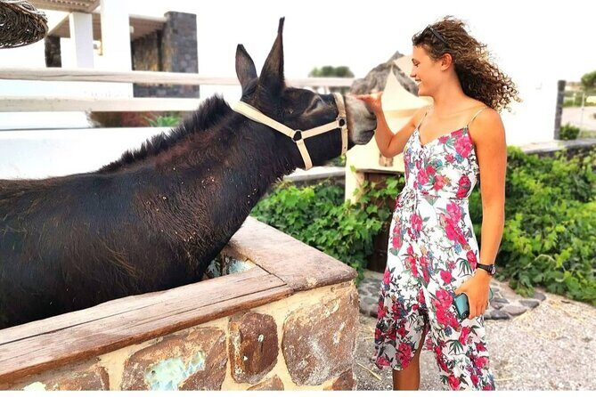 Santorini Private Tour 5hours Wine and local product tasting - FAQ