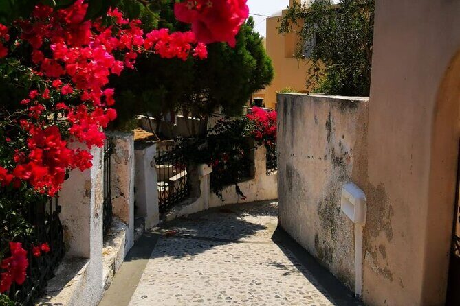 Santorini Private Tour Highlights 6h for Groups and Families - Who Is This Tour Best For?