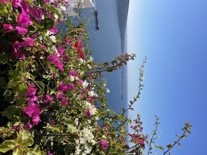Santorini: Private Tour of the Famous Blue Domes and Caldera - The Practical Value and Who It’s Best For