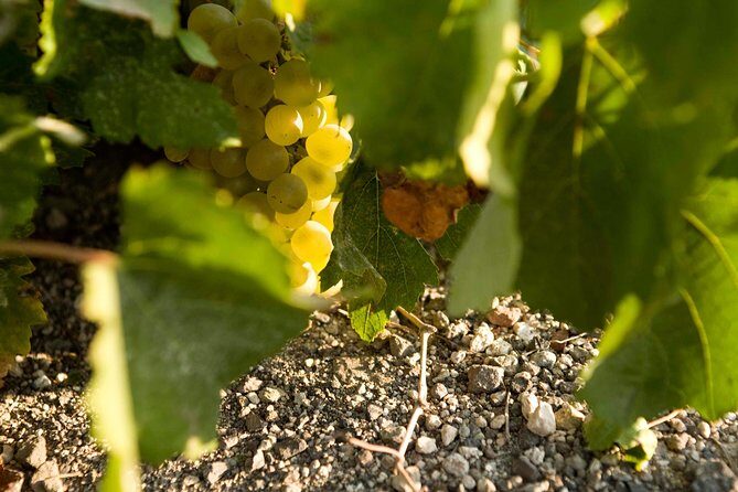 Santorini Private Wine and Food Tour - A Deep Dive into the Santorini Wine & Food Experience