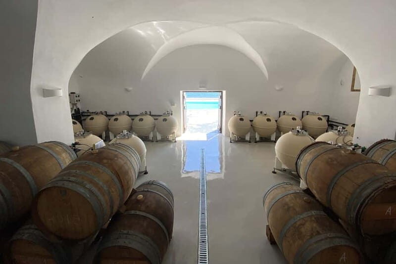 Santorini Private Wine Exprerience: 3 Wineries &Local Snacks - A Bright Spot for Wine Enthusiasts and Curious Travelers Alike