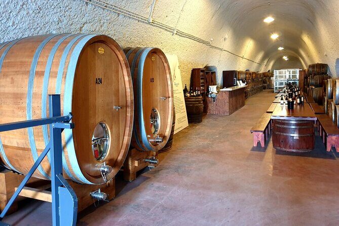 Santorini Private Wine Tasting Experience with private sommelier - Exploring the Santorini Private Wine Tasting Experience