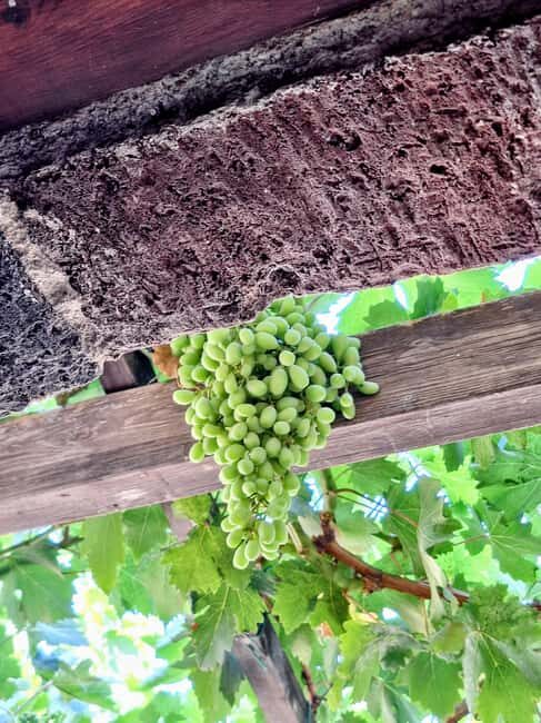 Santorini Private Wine Tour with Local Expert & Sunset - Key Points